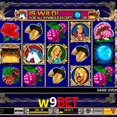 w9bet Rio de Janeiro - Bonus Terms